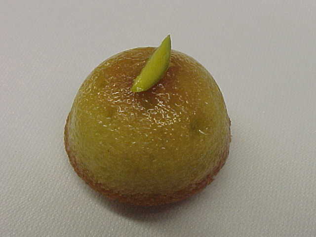 pistachio fiancee